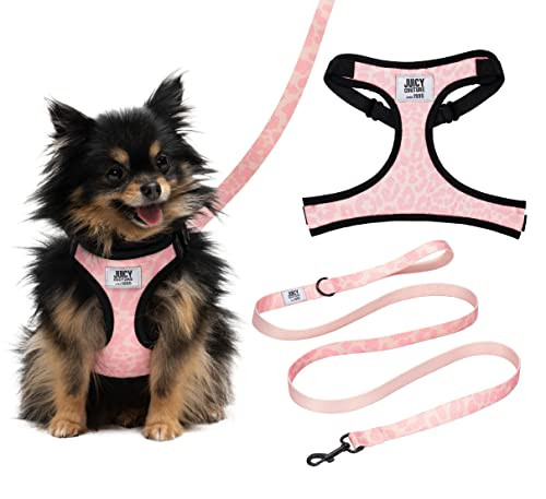 Juicy Couture Pink Camo Dog Harness and Leash Set
