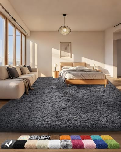 4x6-Foot Shaggy Area Rug