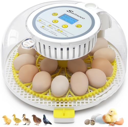 Incubator