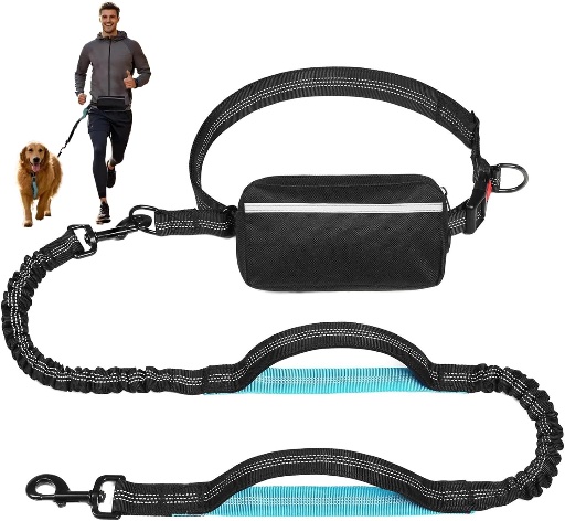 Dog Leash with Zipper Pouch