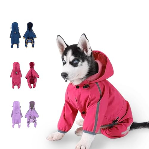 Dog Raincoats 
