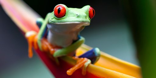 8-Night, 3-City Costa Rica Vacation Package w/ Flights