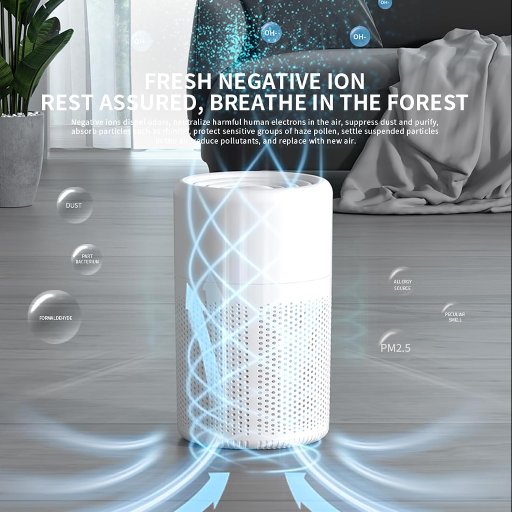 Small Air Purifier W/Fragrance Function