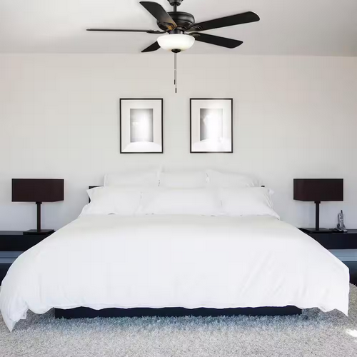 Hampton Bay Rothley II Ceiling Fan