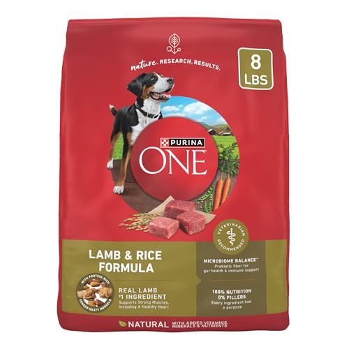 Purina ONE Natural Dry Dog Food
