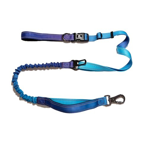 Hands-Free Dog Leash with Bungee