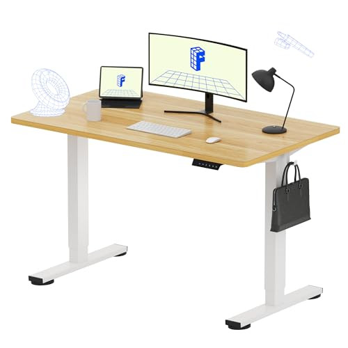 Flexispot EN1 Electric Adjustable Standing Desk