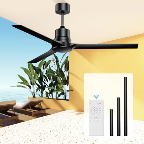 Ceiling Fans with Lights