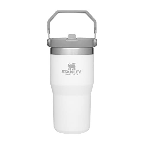 Stanley 20 Oz. IceFlow Vacuum Insulated Stainless Steel Tumbler