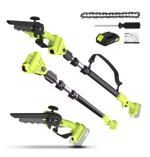 2-in-1 Cordless Pole Saw & 6" Electric Mini Chainsaw