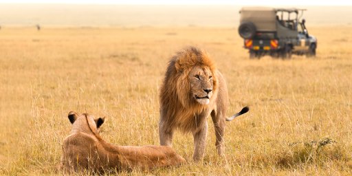 Kenya Wildlife Safari: 9-Night Vacation Package w/ Airfare & Meals