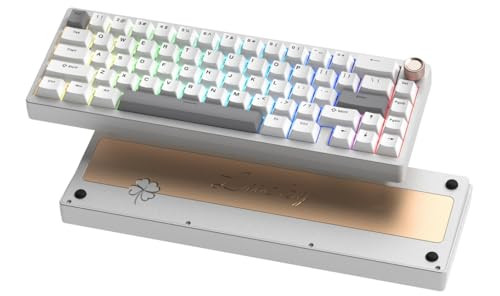 Womier SK65 V2 Aluminum Wireless Mechanical Keyboard