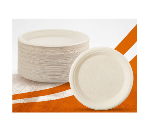 Cheer Collection 9-Inch Compostable Plates