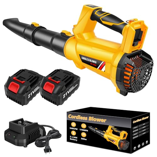 Cordless Leaf Blower Set