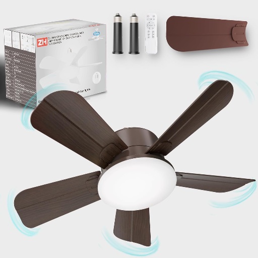 19in Small Ceiling Fan with Lights and Remote