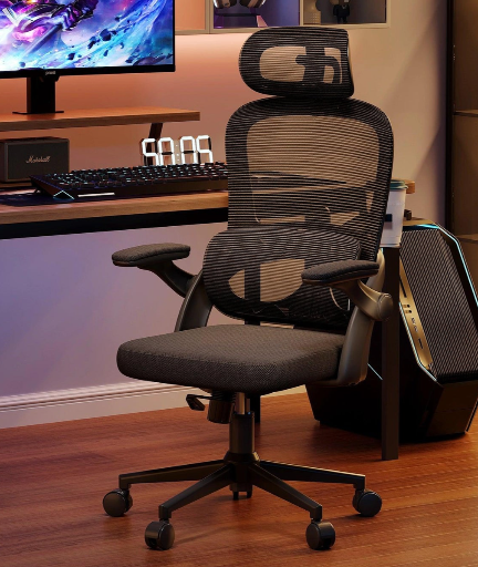 Sihoo M102C Ergonomic Office Chair