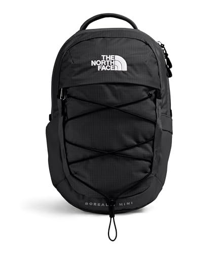 The North Face 10L Mini Borealis Everyday Backpack