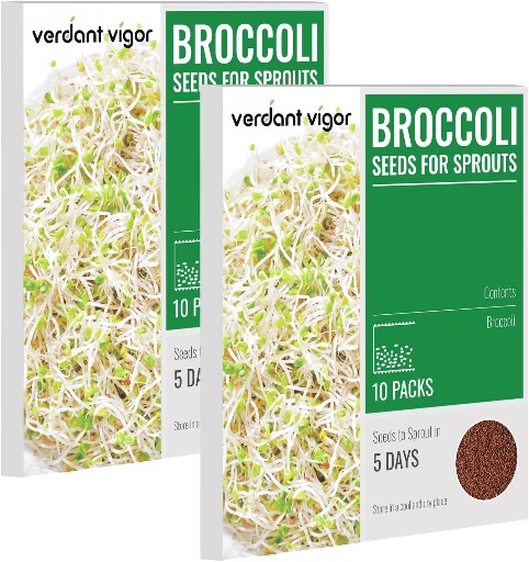 Broccoli Sprout Seeds for Home Growing
