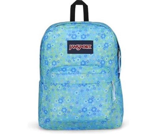 JanSport SuperBreak One Backpack