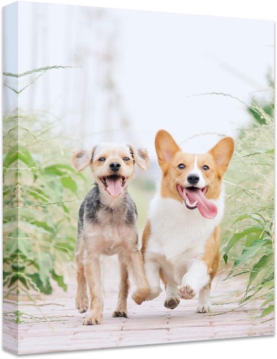Personalized Canvas Pictures