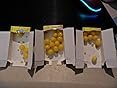 Lemonhead Original Hard Candy 24-Count Boxes