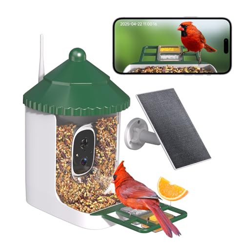 Smart Bird Feeder with Camera