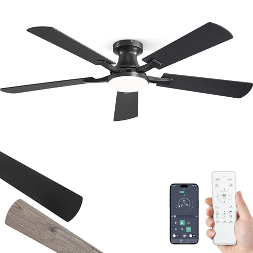 ZMISHIBO 52" Ceiling Fan with Light & App & Remote