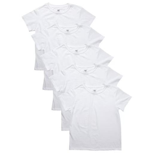 Hanes Boys' Eco Blend Crew Undershirt 5-Pack