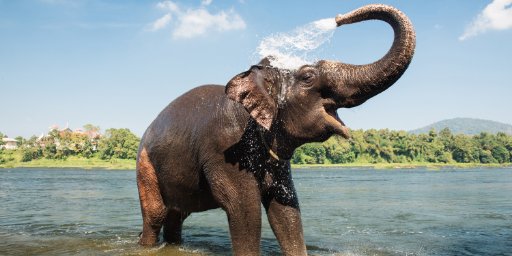 12-Day India Guided Tour w/ International Flights