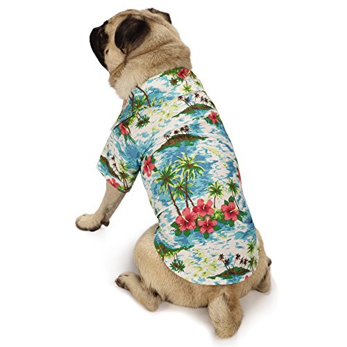 Casual Canine Pet Supplies Camp Pet Shirts