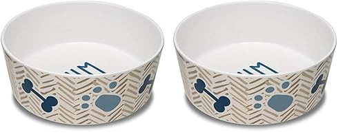 Loving Pets Dolce Moderno Yum Chevron Dog Bowl 2-Pack
