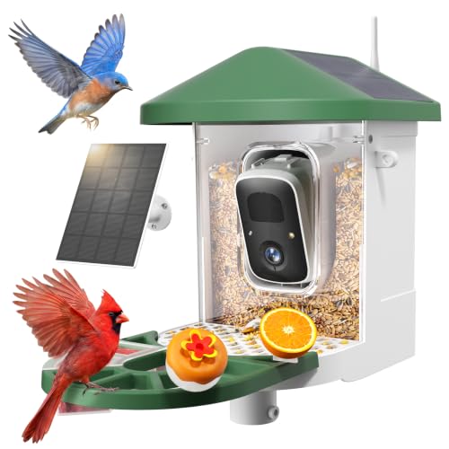 Smart Bird Feeder with 2K HD Live Video Camera Solar Powered