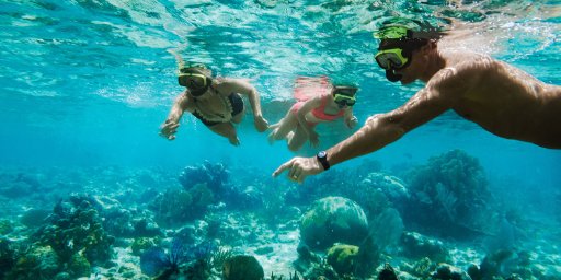 7-Night Western Caribbean Cruise