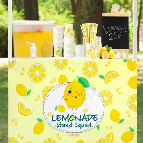 Bokon Lemonade Stand Supplies Kit