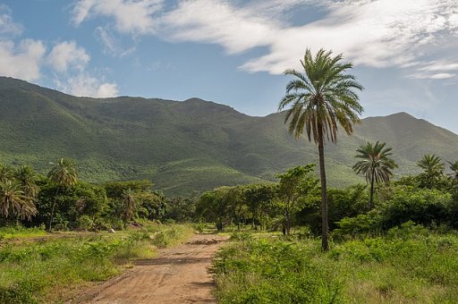 Roundtrip Airfare: New Jersey to San Juan on Delta