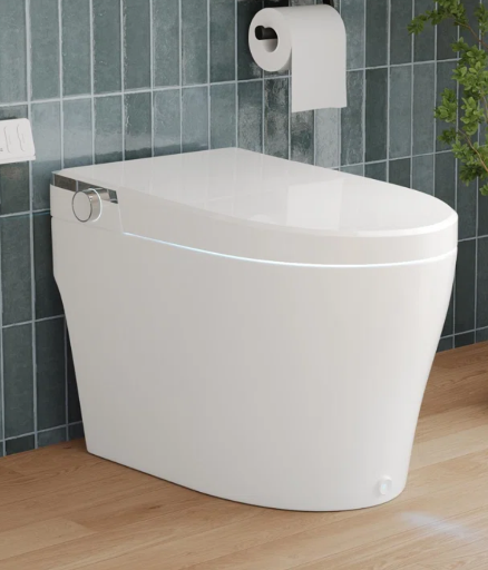 Deervalley Smart Toilet with Bidet Wash