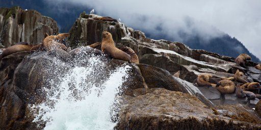 7-Day Alaskan Cruise, Seattle Departure