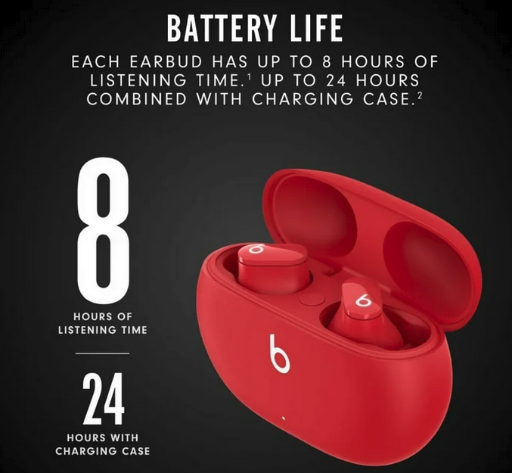 Beats Studio True Wireless Noise Cancelling Bluetooth Earbuds