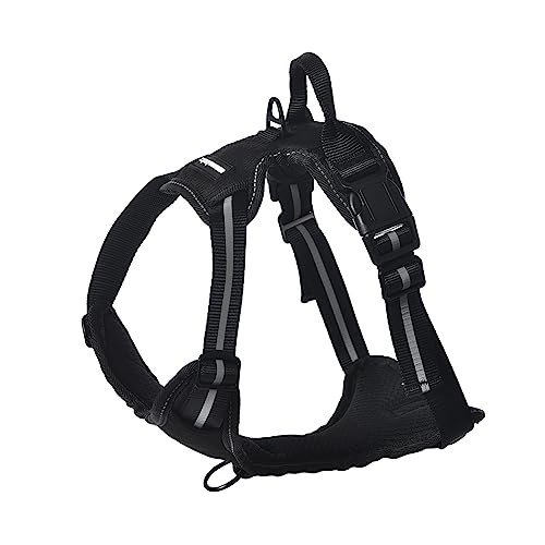 Amazon Basics No-Pull Dog Harness