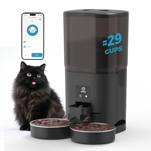 Automatic Cat Feeder for Two Cats