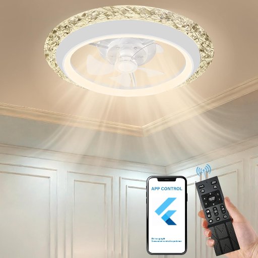 20" Large Living Room Fan Light & Remote