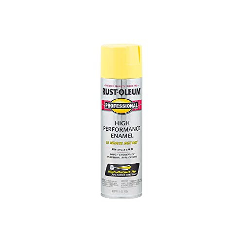 Rust-Oleum Professional High Performance Enamel Spray Paint, 15 Oz.