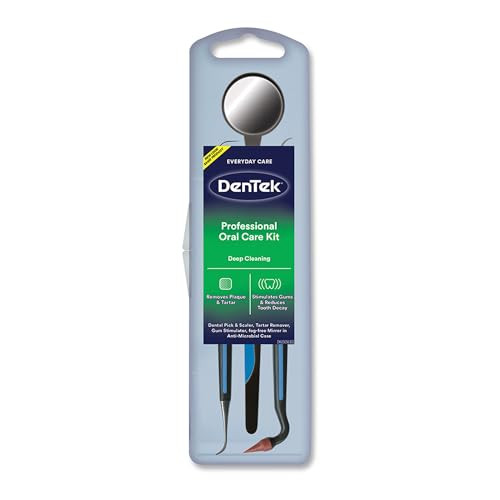 DenTek Professional Oral Care Kit