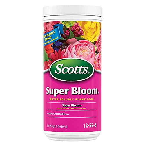Scotts Super Bloom Water Soluble Plant Food