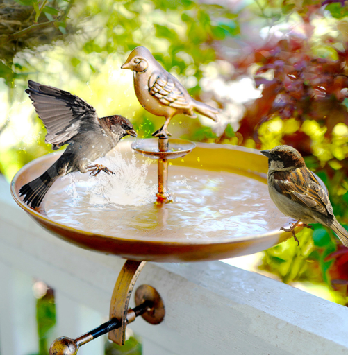 Interchangeable Bronze Butterfly & Bird Bath