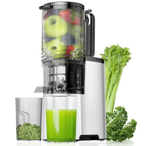 Slow Masticating Juicer