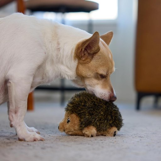 Outward Hound Small Hedgehogz Plush Squeaky Dog Toy, Small