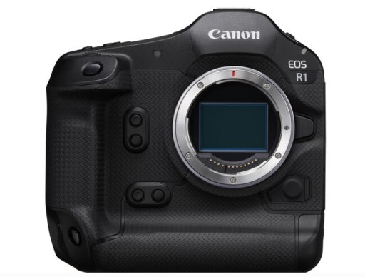 Canon EOS R1 Mirrorless Camera + Canon LP-E19 Battery Pack (2-Pack)