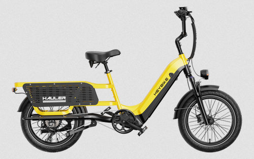 Heybike Electric Bike Sale