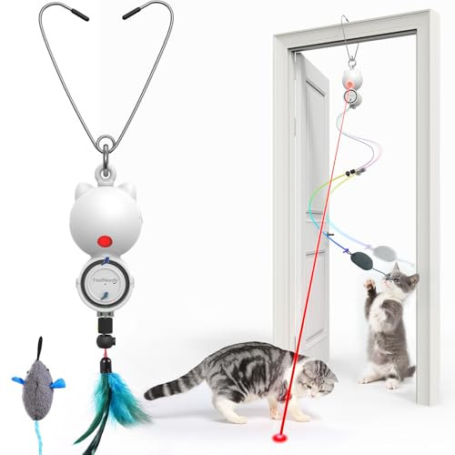 Laser Cat Toys for Indoor Cats